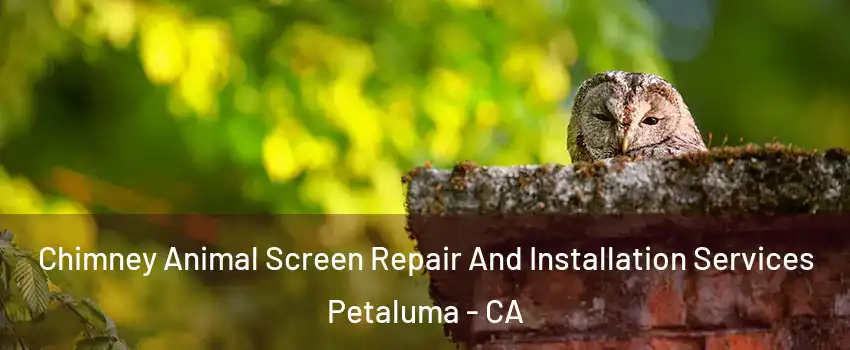  Chimney Animal Screen Repair And Installation Services Petaluma - CA