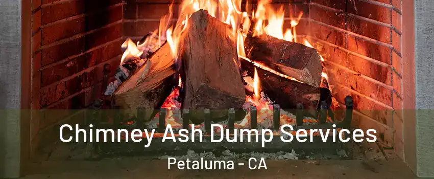  Chimney Ash Dump Services Petaluma - CA