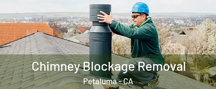  Chimney Blockage Removal Petaluma - CA