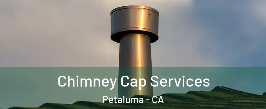  Chimney Cap Services Petaluma - CA