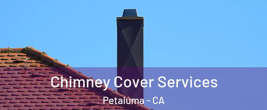  Chimney Cover Services Petaluma - CA