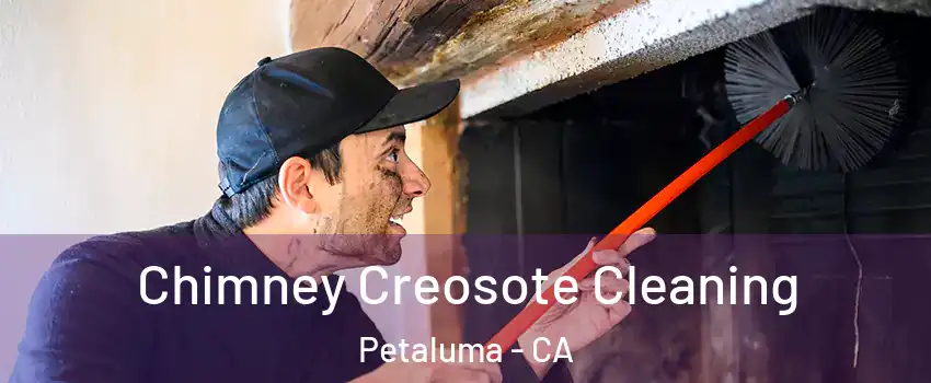  Chimney Creosote Cleaning Petaluma - CA