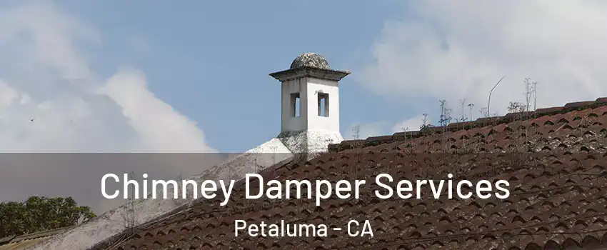  Chimney Damper Services Petaluma - CA