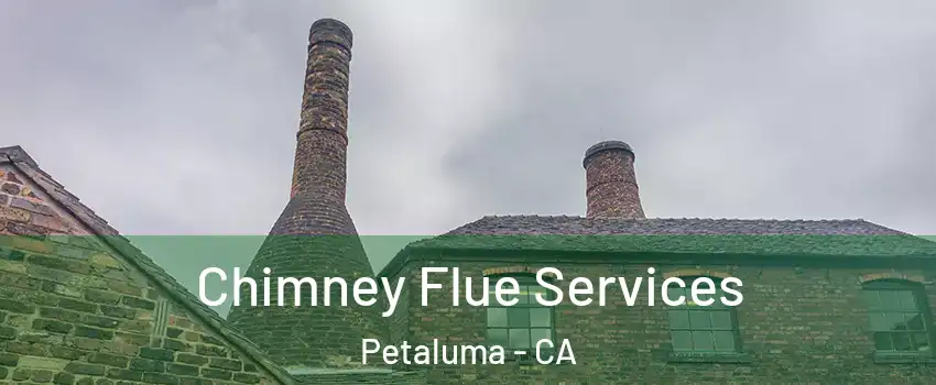  Chimney Flue Services Petaluma - CA