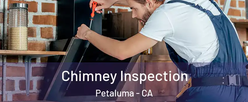  Chimney Inspection Petaluma - CA