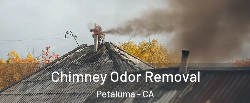  Chimney Odor Removal Petaluma - CA