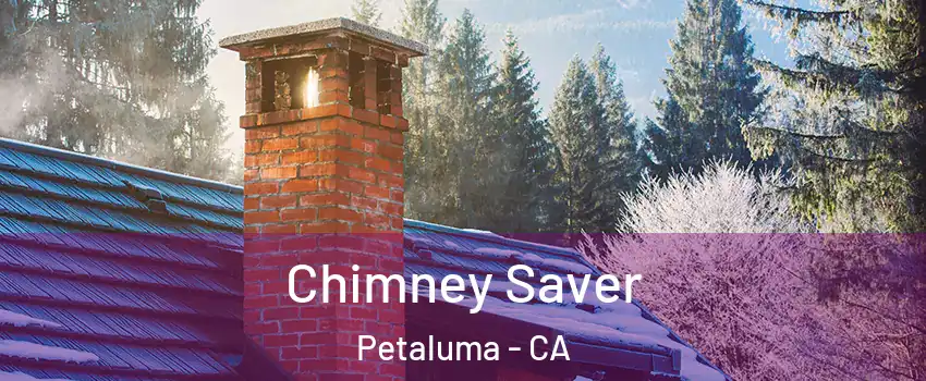  Chimney Saver Petaluma - CA