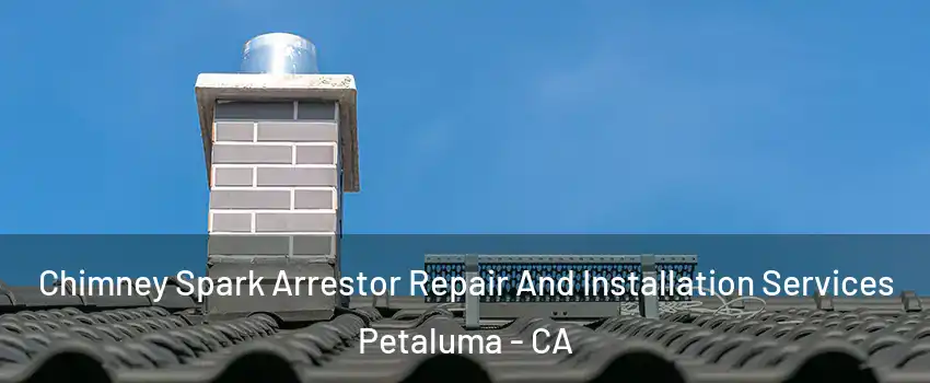  Chimney Spark Arrestor Repair And Installation Services Petaluma - CA
