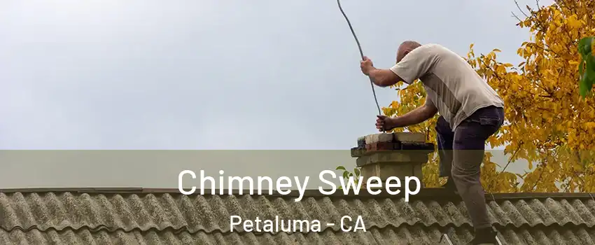  Chimney Sweep Petaluma - CA