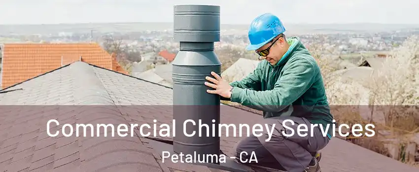  Commercial Chimney Services Petaluma - CA