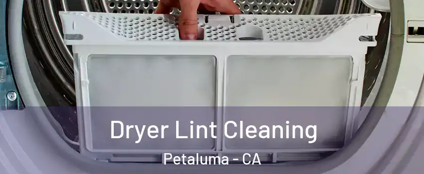 Dryer Lint Cleaning Petaluma - CA