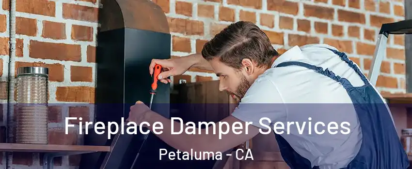  Fireplace Damper Services Petaluma - CA