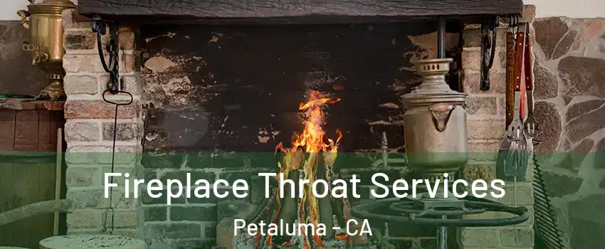  Fireplace Throat Services Petaluma - CA