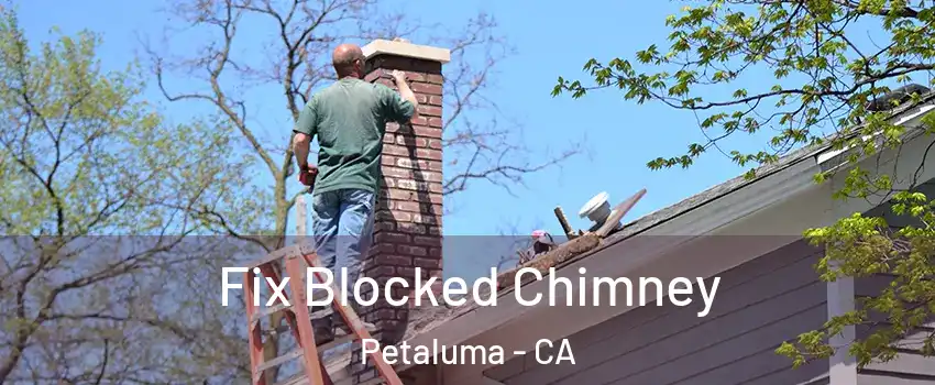  Fix Blocked Chimney Petaluma - CA