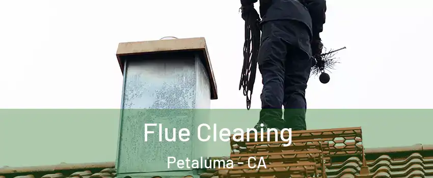  Flue Cleaning Petaluma - CA