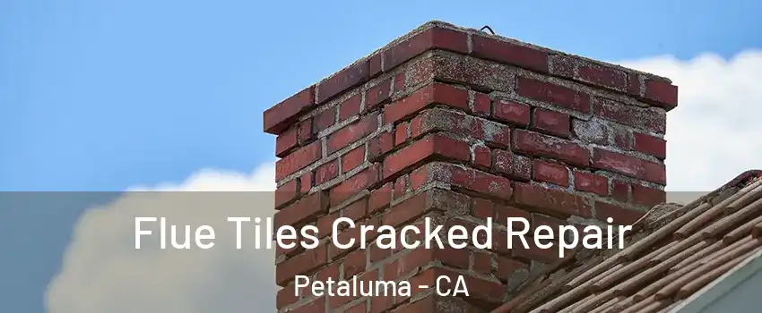  Flue Tiles Cracked Repair Petaluma - CA