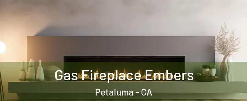  Gas Fireplace Embers Petaluma - CA