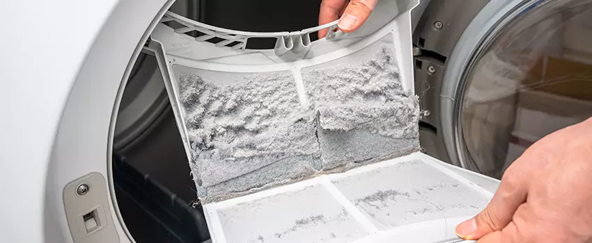 Best Dryer Lint Removal Company in Petaluma, California