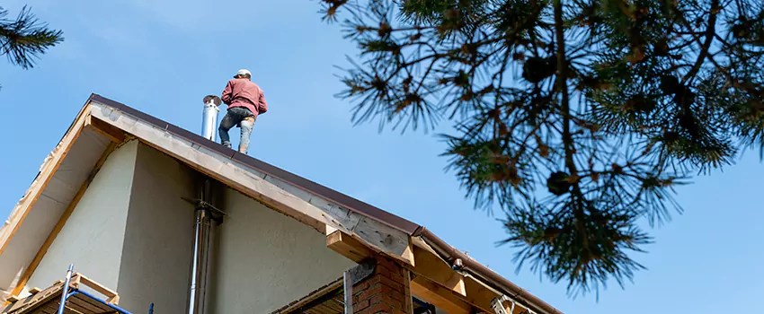 Birds Removal Contractors from Chimney in Petaluma, CA