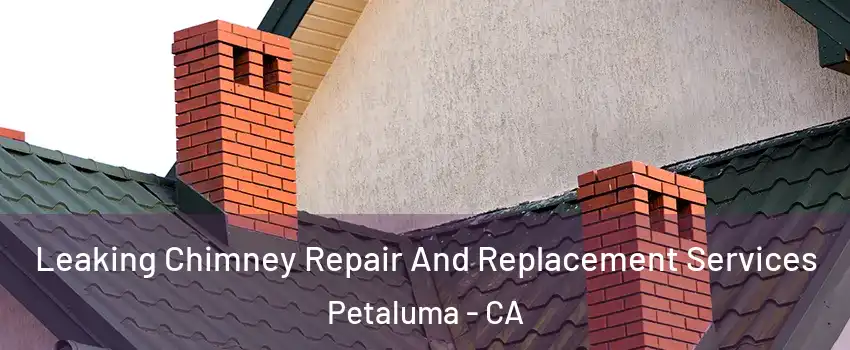  Leaking Chimney Repair And Replacement Services Petaluma - CA