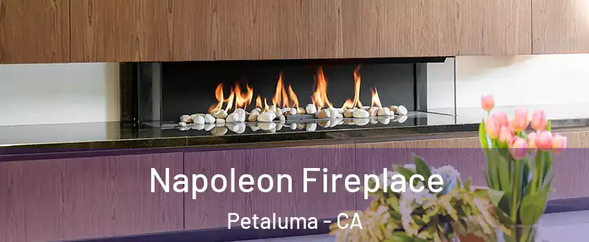  Napoleon Fireplace Petaluma - CA
