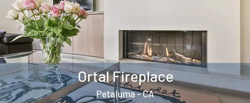 Ortal Fireplace Petaluma - CA